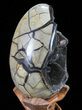 Septarian Dragon Egg Geode - Black Crystals #72057-2